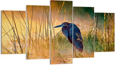 Produktbild von Bild auf Leinwand - Leinwandbild - Vogel Natur Wasser - 160x85cm - Wand Bild - Wanddeko - Leinwanddruck - Bilder - Kunstdruck - Wanddekoration - Leinwand bilder - Wandkunst - EA160x85-3708