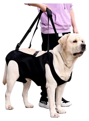 Produktbild von Hundeliftgeschirr, Unterstützung für Hunde, Mobilitätshilfe für ältere Hunde, Gelenkverletzungen, Arthritis, Stabilitätsverlust, Schwarz (L)