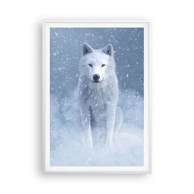 Produktbild von Gerahmtes Poster - Weißer Rahmen - Weiß Wolf Schnee - 70x100 cm - Wand Bild - Wanddeko - Wandbilder - Kunstposter - Wandposter - Bilderrahmen - Bilder - Kunstdruck - Wanddekoration - P2WPA70x100-5006