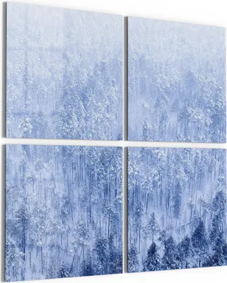 Produktbild von DEQORI Glasbild Echtglas 4x50x50 cm 'Winterwald in Weiß' Wandbilder XXL groß