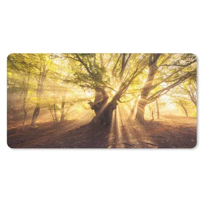 Produktbild von MuchoWow® Schreibtischunterlage Baum - Wald - Sonne 80x40 cm - XXL Mauspad - Gaming Mauspad
