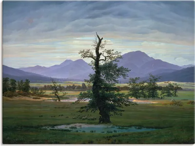 Produktbild von ARTland Leinwandbild Der einsame Baum Größe: 80x60 cm