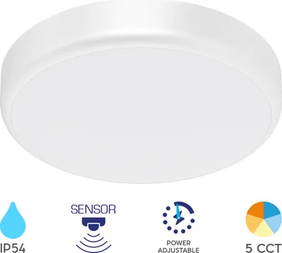 Produktbild von Braytron LED Deckenleuchte Wandleuchte Bewegungsmelder Farbwahl 5CCT 10W 20W IP54 Außen und Innenbereich