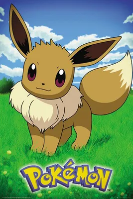 Produktbild von Pokemon - Pokémon - Poster - Eevee