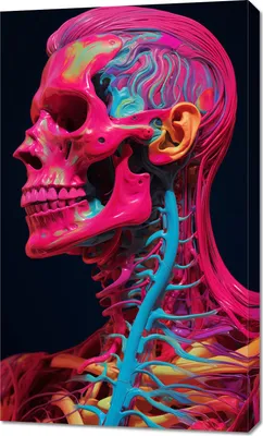 Produktbild von Bild 60x100cm Anatomie der Farbe