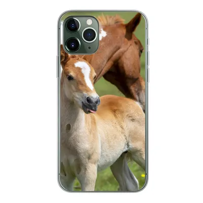 Produktbild von MuchoWow® Handyhülle Schutzhülle Hülle für iPhone 11 Pro Pferde - Fohlen - Gras Silikon Softcase Handy Hülle - Handy