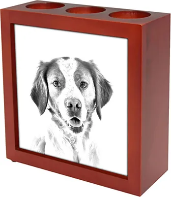 Produktbild von Bretonischer Spaniel, Bretonischer Vorstehhund, Brittany - Stifthalter mit Hund, Schreibtischorganizer mit Aufdruck, personalisierte Schreibtischdekoration der Marke Art-Dog