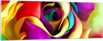 Produktbild von Bilder auf glas - Blume Farbe Rose - 90x30cm - Glasbilder - Wandbilder - Kunstdruck - zum Aufhängen bereit - Wanddekoration aus Glas - Glas Bilder - Wandbild auf Glas - Einteilig - GAB90x30-3623