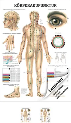 Produktbild von Körperakupunktur Poster Anatomie 70x50 cm medizinische Lehrmittel