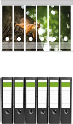 Produktbild von Wallario 6 Stück breite Ordner inkl. Klebeetiketten mit Motive Süßes neugieries Eichhörnchen an einem Baum -  Set mit Rückenschildern / Ordnerrücken Stickern