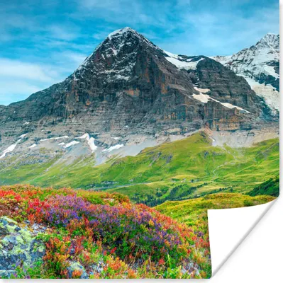 Produktbild von MuchoWow® Poster Blumen - Berge - Schnee - Landschaft 75x75 cm - Wand Dekoration