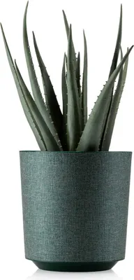 Produktbild von HowHomely | Pflanzkübel Aloe Texelle - 19,5 cm - Grüner Übertopf - Modernes Design, Leicht zu Reinigen