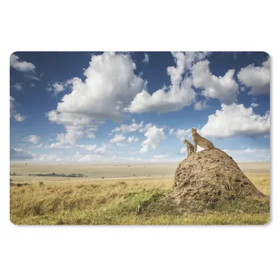 Produktbild von MuchoWow® Schreibtischunterlage Geparden - Steine - Gras 60x40 cm - XXL Mauspad - Großes Mauspad