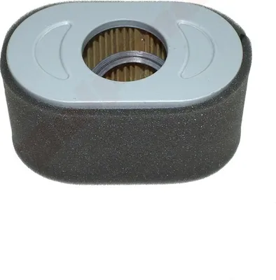 Obrázek produktu pro Vzduchový filtr Pro B&S ( 797033 )