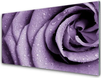 Produktbild von Acrylglasbilder 100x50 Wandbild Druck Rose Pflanzen