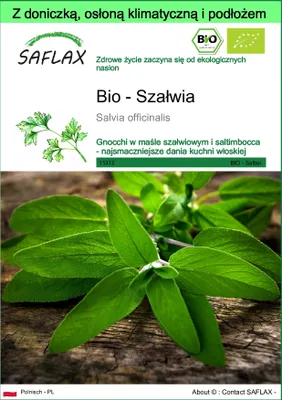 Zdjęcie produktu dla SAFLAX - Garden to go - Bio - Szałwia - 60 Nasiona - Z doniczką, pokrywą klimatyczną i podłożem do uprawy - Salvia officinalis