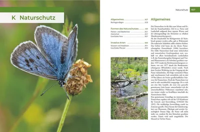 Obrázok produktu pre Vor und nach der Jägerprüfung - Printausgabe