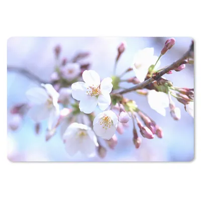 Produktbild von MuchoWow® Schreibtischunterlage Blumen - Sakura - Zweig - Blütendolden 60x40 cm - XXL Mauspad - Großes Mauspad