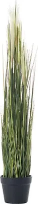 Produktbild von Dekoration Pampas Grass 100cm