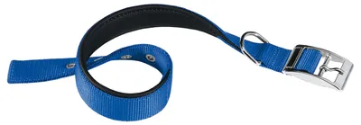Productafbeelding van Hondenhalsband 'Daytona C', 25 mm breed, 45-53 cm lang, blauw