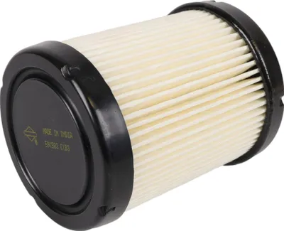 Image de Filtre à air pour moteurs Briggs & Stratton 796032 591583 Moteurs 210000