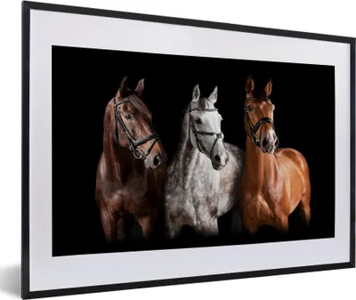 Produktbild von MuchoWow® MuchoWow® Gerahmtes Poster Pferde - Tiere - Schwarz 60x40 cm - Poster mit zchwarzem Bilderrahmen - Schlafzimmer - Plakat in Rahmen - Drucken