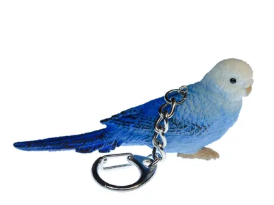 Produktbild von Wellensittich Schlüsselanhänger Miniblings Anhänger Schlüsselring Vogel blau