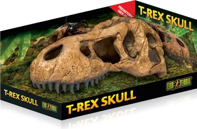 Image de Hagen EX T-Rex Crâne ; PT2859