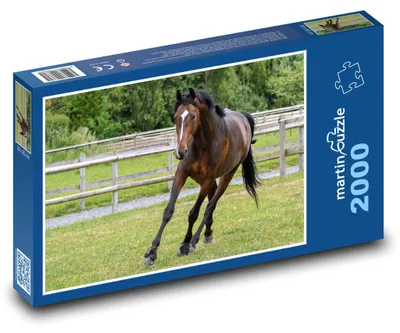 Obrázok produktu pre martinpuzzle - Puzzle 2000 - Kôn