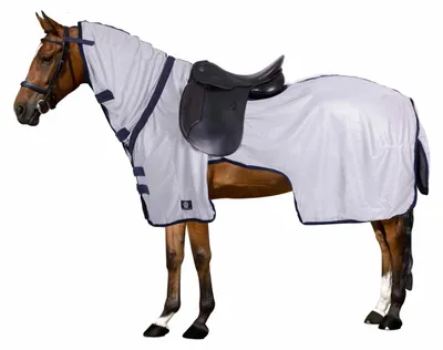 Produktbild von Imperial Riding Fliegen-Ausreitdecke IRHRoyce