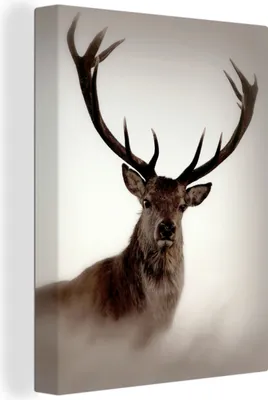 Produktbild von MuchoWow® - Leinwandbilder - Porträt - Hirsch - Geweih, Wandbild, Wanddeko Bilder Wohnzimmer, 90x120cm