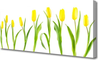 Produktbild von Tulup Leinwand-Bilder 125x50 Wandbild Canvas Kunstdruck Tulpen Pflanzen