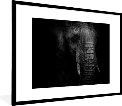 Produktbild von MuchoWow® MuchoWow® Gerahmtes Poster Elefant auf schwarzem Hintergrund in schwarz und weiß 80x60 cm - Poster mit zchwarzem Bilderrahmen - Schlafzimmer-Dekorationen - Fotoposter