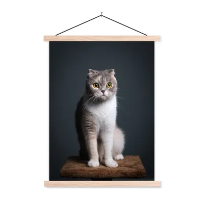 Produktbild von MuchoWow® Textilposter Katze - Haustiere - Licht 40x53 cm mit holzfarbenen Rahmen - Schlafzimmer
