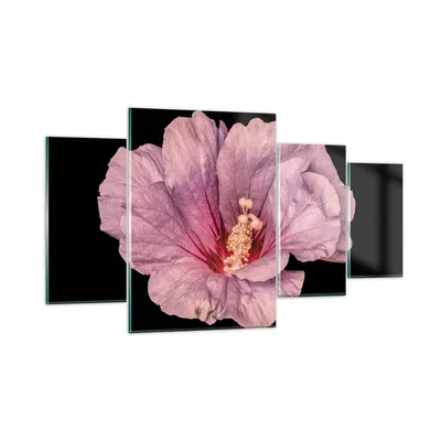 Produktbild von Bilder auf glas - 4 Teile - Hibiskus Blume Rosa - 160x90cm - Glasbilder - Wandbilder - Bilder - zum Aufhängen bereit - Wanddekoration aus Glas - Glas Bilder - Wandbild auf Glas - GDL160x90-4481