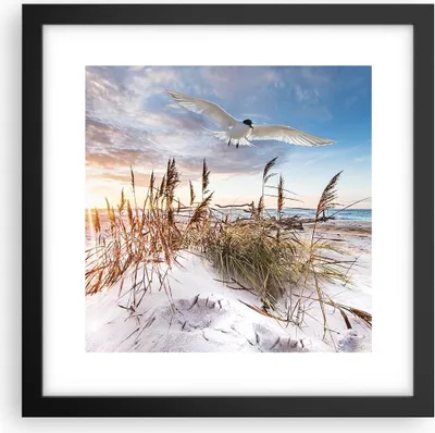 Produktbild von Gerahmtes Poster - Schwarzer Rahmen - Möwe Meer Küste - 30x30 cm - Wand Bild - Wanddeko - Wandbilder - Kunstposter - Wandposter - Bilderrahmen - Bilder - Kunstdruck - Wanddekoration - P2BAC30x30-4902