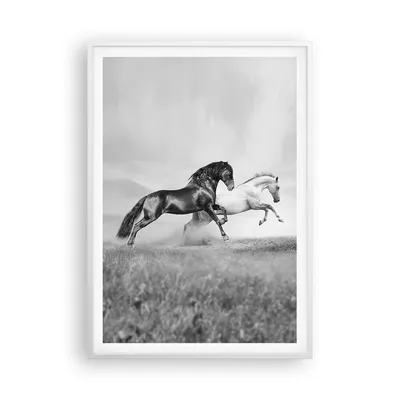 Produktbild von Gerahmtes Poster - Weißer Rahmen - Pferde Tiere Galopp Wiese - 70x100 cm - Wand Bild - Wanddeko - Wandbilder - Wandposter - Bilderrahmen - Bilder - Kunstdruck - Wandbild - P2WPA70x100-2683