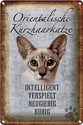 Produktbild von Blechschild Spruch 20x30cm orientalische Kurzhaarkatze