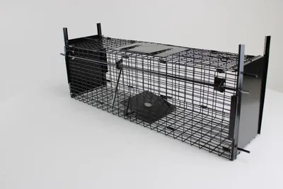 Obrázok produktu pre Campo24 živá pasca na potkany - 60x18x20cm, ochranná rukoväť, klapka na odkopnutie - ideálna na kuny, myši, plchy, mývaly