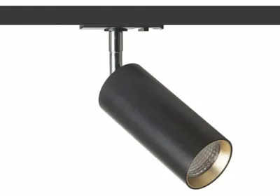 Obrázok produktu pre MAVRO pre jednookruhovú lištu čierna/zlatá 230V LED 12W 38° 3000K