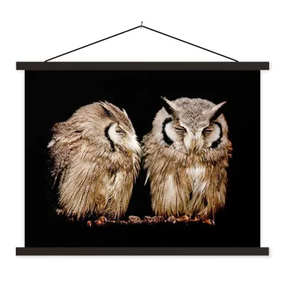 Produktbild von MuchoWow® Textilposter Eule - Vogel - Schwarz 150x113 cm mit schwarzem Rahmen - Wohnzimmer