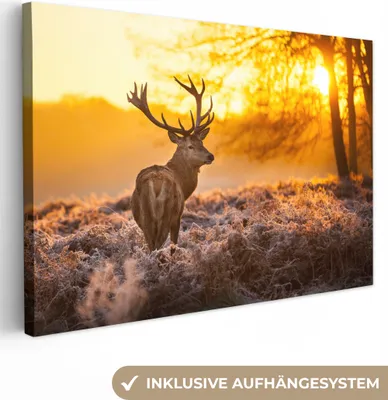 Obrázek produktu pro OneMillionCanvasses® - Obrazy na plátně - Jelen - Zvířata - Západ slunce - Zima - Vřes - Příroda, nástěnné umění, nástěnné dekorace Obývací pokoj, 120x80cm