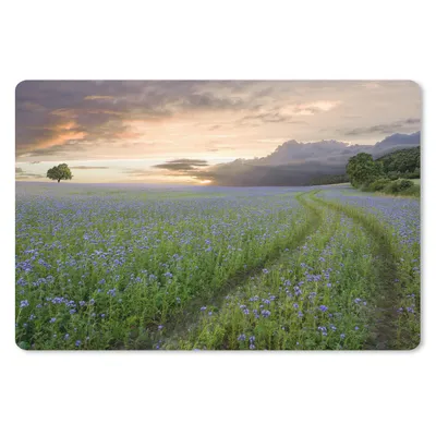 Produktbild von MuchoWow® Schreibtischunterlage Sonnenuntergang - Blumen - Farben 60x40 cm - XXL Mauspad - Großes Mauspad