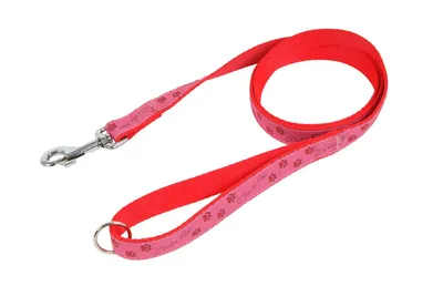 Image de Olala Pets Laisse TLAPKY 25 mm x 150 cm - rose
