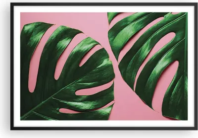 Produktbild von Gerahmtes Poster - Schwarzer Rahmen - Monstera Blatt Rosa - 91,5x61 cm - Wand Bild - Wanddeko - Wandbilder - Kunstposter - Wandposter - Bilderrahmen - Bilder - Kunstdruck - P2BAA91x61-4407