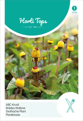 Produktbild von Parakresse | Kressesamen von Hortitops
