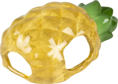 Produktbild von Duvo+ Nagerhaus Stone Pineapple