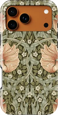 Image de Coque de protection pour iPhone 17 Pro avec MagSafe, résistante aux chocs – Coque de protection pour téléphone portable