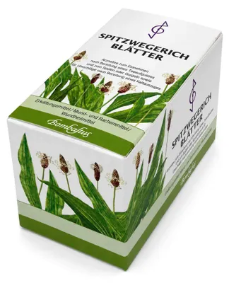 Imagen del producto de Bombastus: Infusión de hojas de espigón, 20 bolsitas filtro