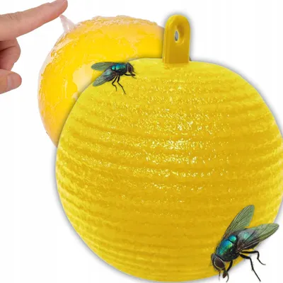 Produktbild von Kuketo | Fliegenkugel XL - Gelbe Zitrone - Auf Fruchtfliegen, Trauermücken, Blattläuse - Effektive, ökologische Lösung